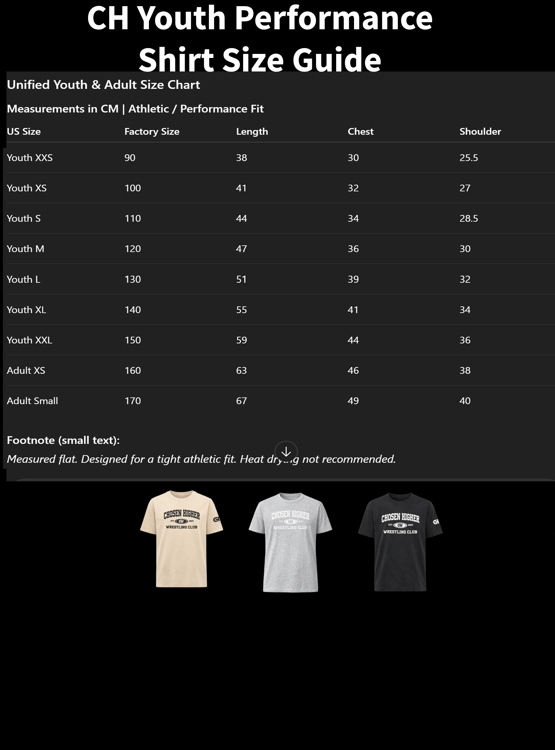 CHWC Performance Shirt (Youth)